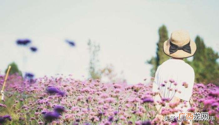 再复婚的几率还有大 离婚后复婚的概率有多大