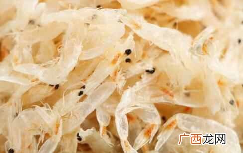 虾米的营养价值及功效 虾米是什么虾晒的