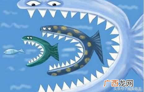 猎头公司推荐的工作靠谱吗（揭秘猎头公司是如