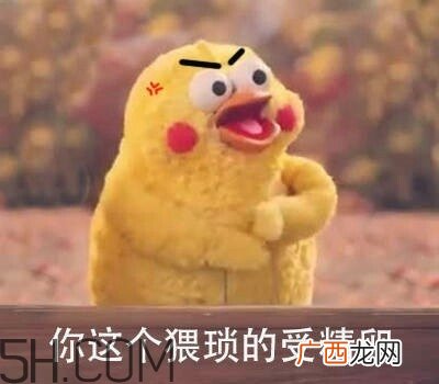 你这个猥琐的受精卵是什么意思？你这个猥琐的受精卵表情包