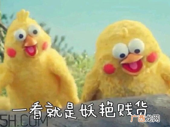 你们都是臭袜子什么意思？你们都是臭袜子表情包