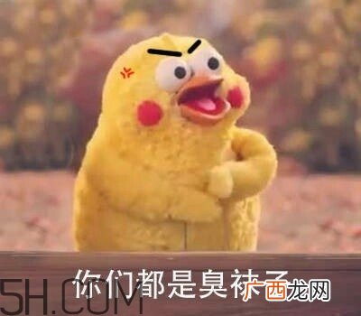 你们都是臭袜子什么意思？你们都是臭袜子表情包