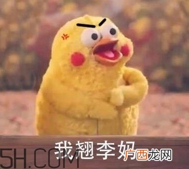 翘李妈什么意思？我翘李妈表情包
