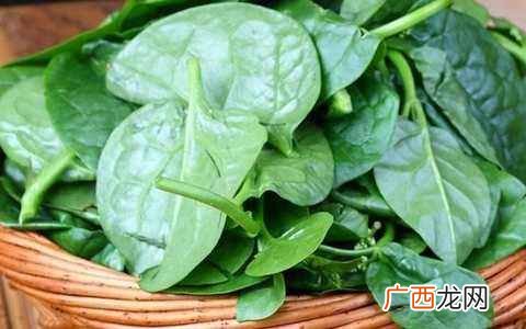 木耳的10种家常做法 木耳是什么树上长出来的