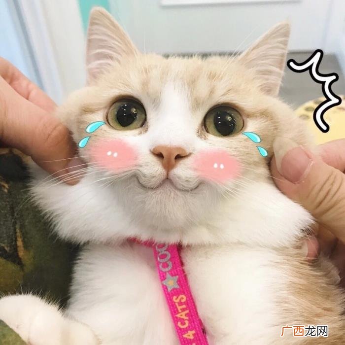 最恩爱的明星夫妻，娱乐圈公认真恩爱的11对明星夫妻