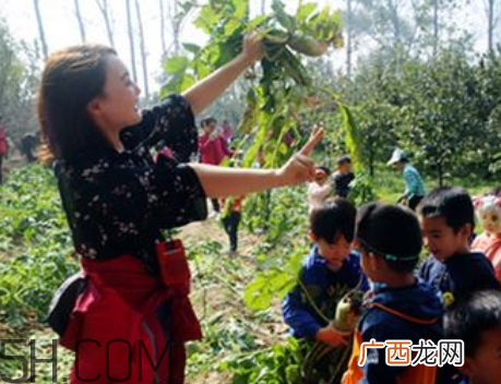 秋后拔萝卜再硬也要碰是什么意思？