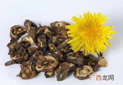 枸杞和蒲公英可以一起泡水喝吗？
