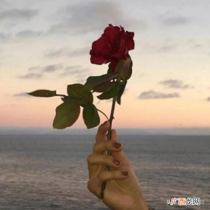 祝女朋友生日快乐的情话，女朋友生日发多少红包好