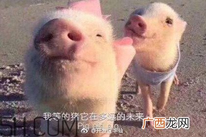 猪精女孩健康养生指南有哪些？猪精女孩健康养生指南是什么？