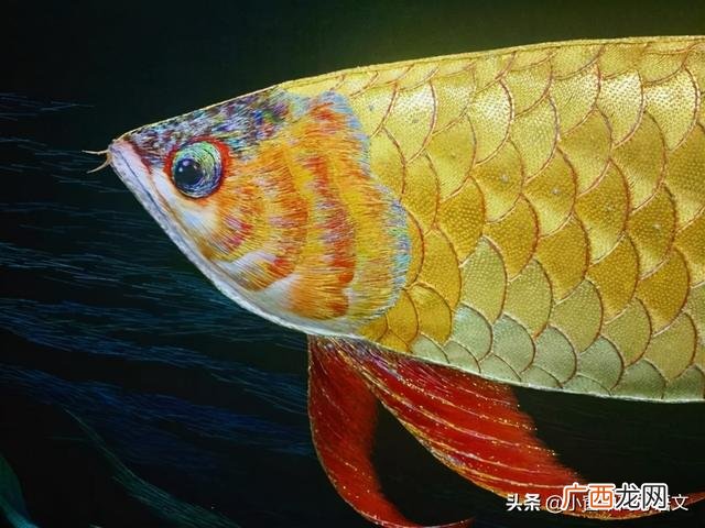 2021年青年楷模事迹,当代青年楷模事迹作文素材