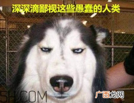 女生说我醉了什么意思?女生说喝多了怎么回复