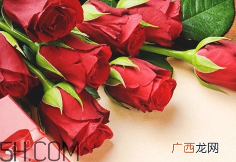 女生说so是什么意思？女生说so该怎么回答