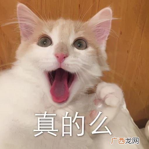 开个洗衣液厂骗局 想开中药饮料厂