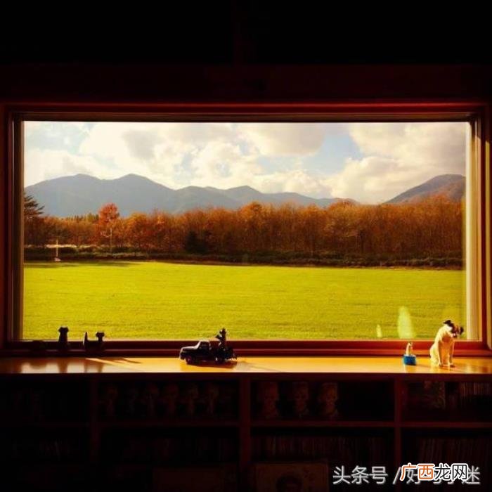 形容心累无奈的句子 心累又无奈