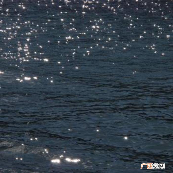 热爱生活的温柔句子 热爱生活的优美句子