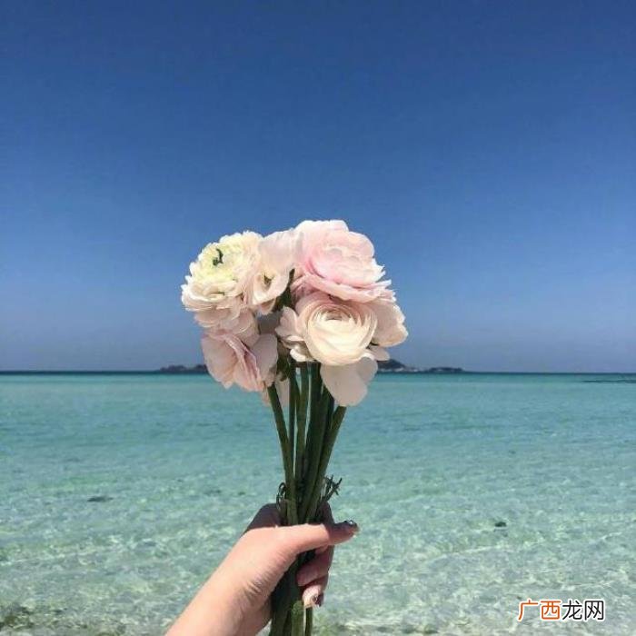 点赞过亿的早安说说 点赞过亿的说说及图片