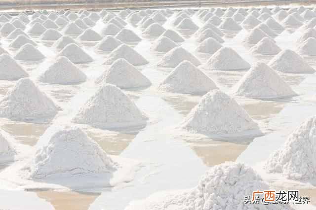 人为什么要吃盐而动物不用(这7种人必须少吃盐