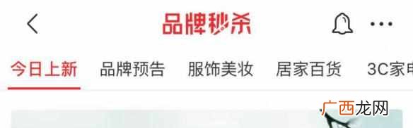 京东网购秒杀是什么意思（一天卖出110亿的京东