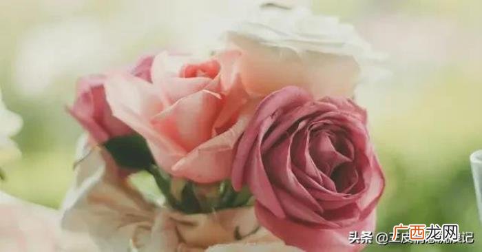 分手后想挽回，分手后怎么样去挽回呢