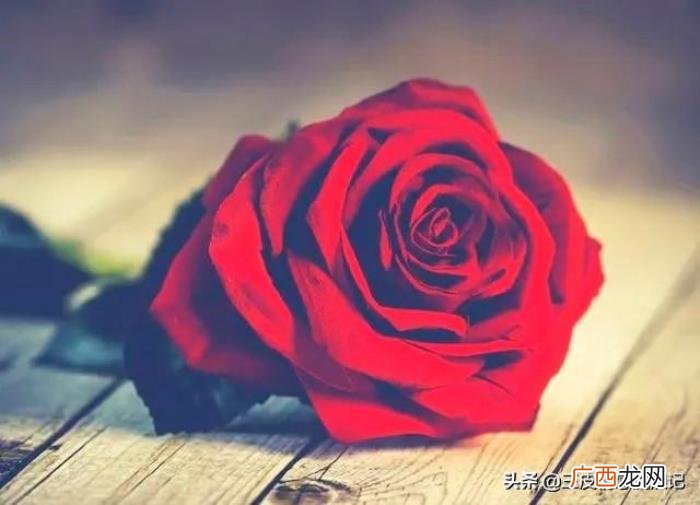 分手后想挽回，分手后怎么样去挽回呢