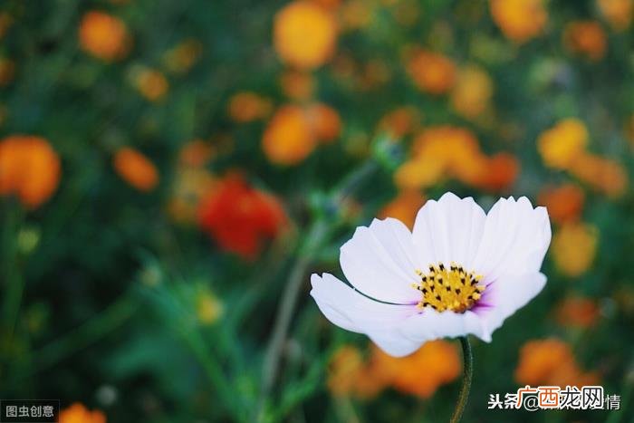 凡事看淡一点、想开一些 想开了看淡了的说说