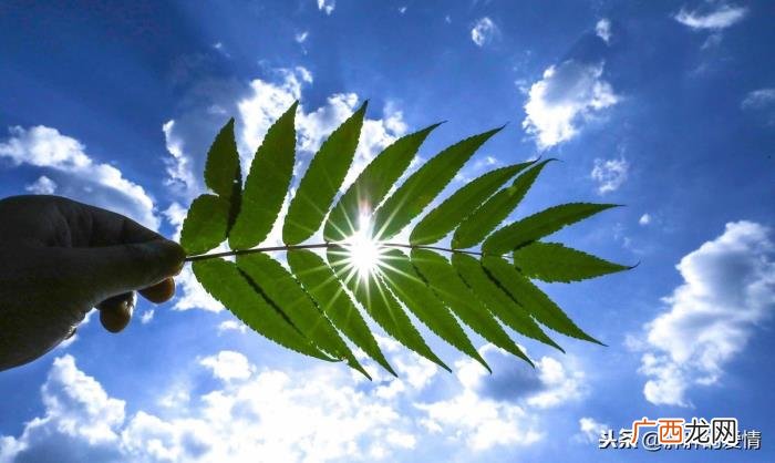 凡事看淡一点、想开一些 想开了看淡了的说说