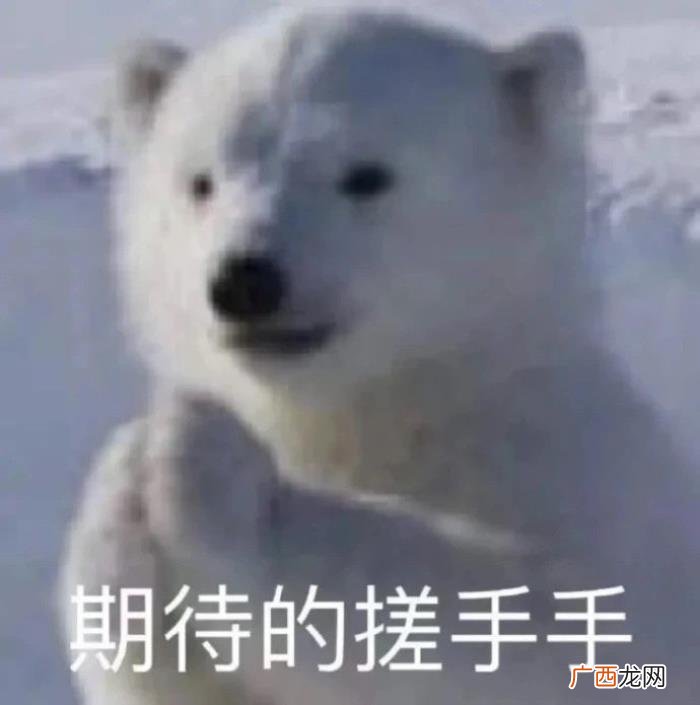 斗图表情包合集｜超委屈超想哭 委屈的图片难过的图片