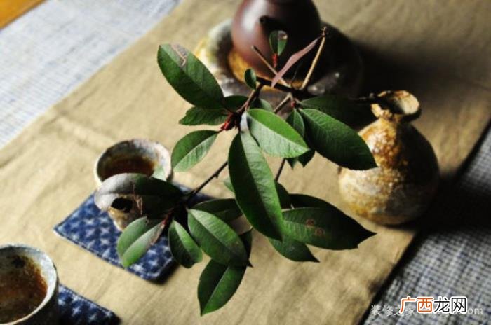 陶瓷茶具什么牌子好 十大顶级陶瓷茶具品牌