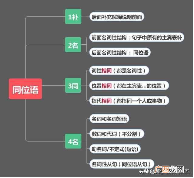 同位语从句是什么意思（同位语的这份使用说明