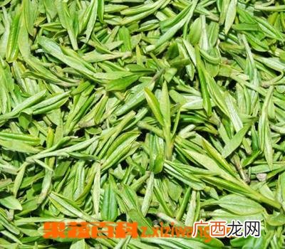 卷丹百合的功效和作用