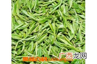 卷丹百合的功效和作用