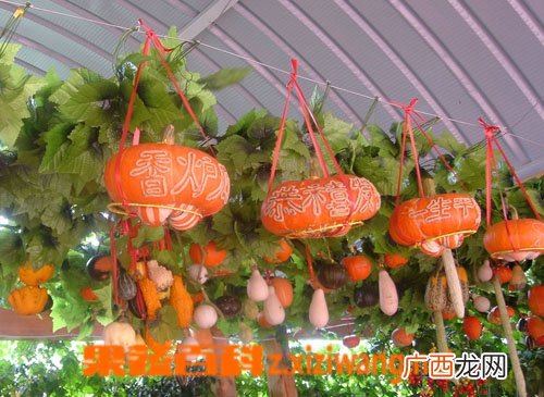 蒜香藤的功效与作用
