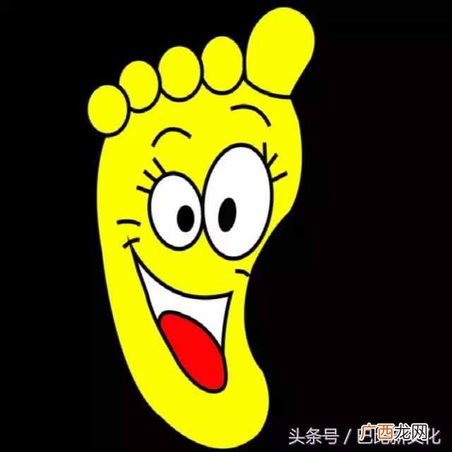 人力资源六大模块内容各有什么特点(六大模块