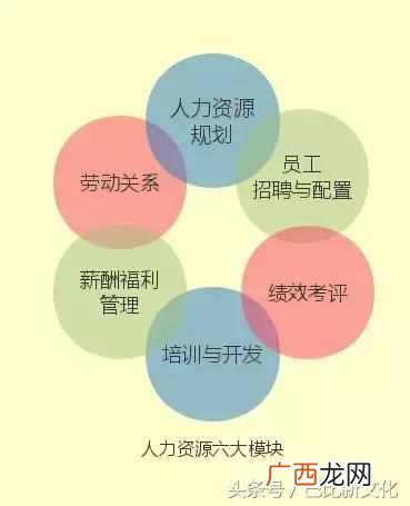 人力资源六大模块内容各有什么特点(六大模块