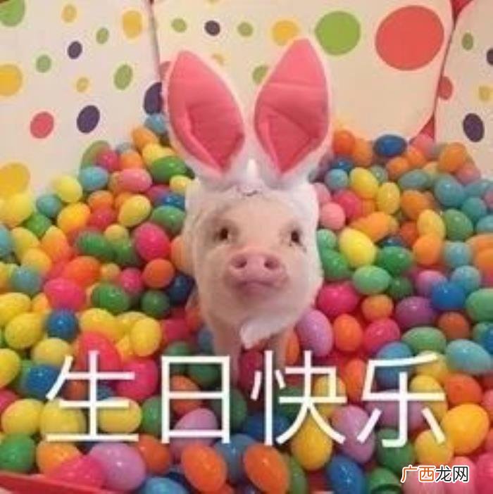 生日快乐表情包合集 生日图片大全带字
