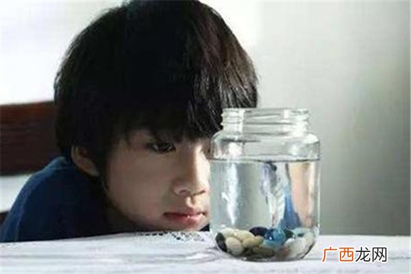 自闭症有什么表现症状自闭症有什么危害