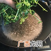 做好上汤的窍门 粤菜-上汤豆苗
