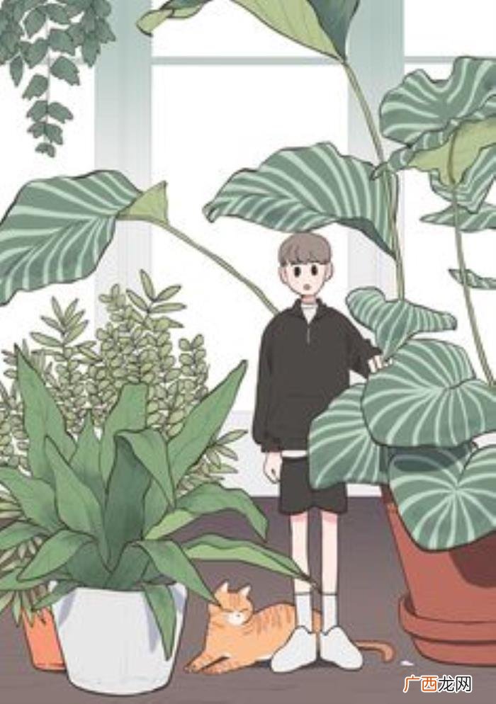 分手后怎么挽回的话,分手了挽留的话怎么说