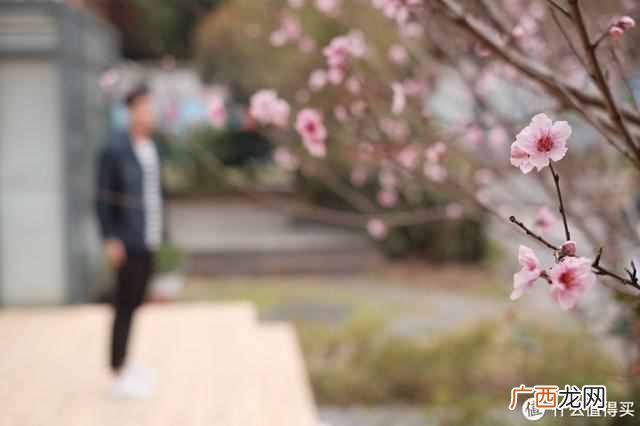 相机卡片机是什么东西（卡片机居然也能卖6199元