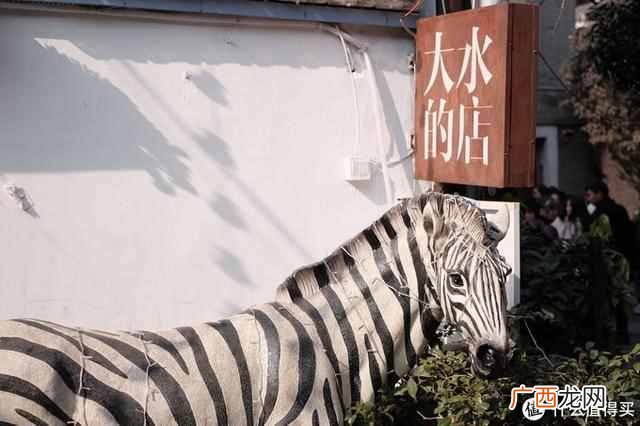 相机卡片机是什么东西（卡片机居然也能卖6199元