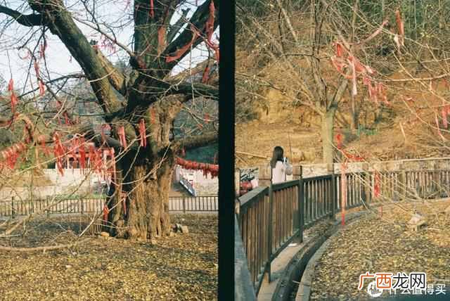 相机卡片机是什么东西（卡片机居然也能卖6199元