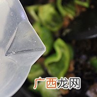 特色鲁菜-木须肉