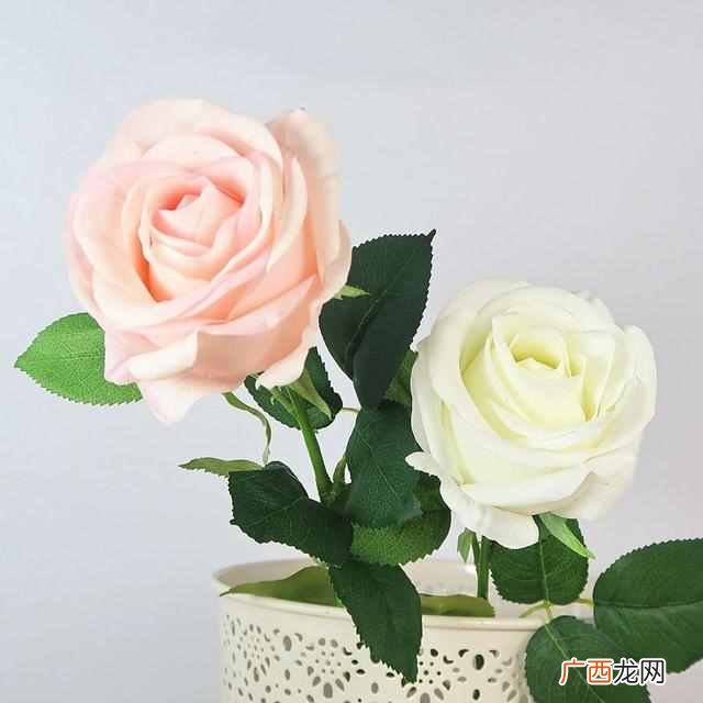 红玫瑰花语大全 送女人红玫瑰代表什么意思