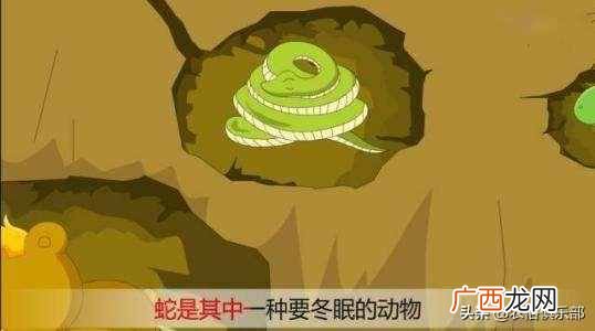 蛇最怕什么植物和花草（农村怕屋里进蛇，种这