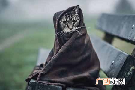 月光族是什么消费性格的人（心理测试哪些星座