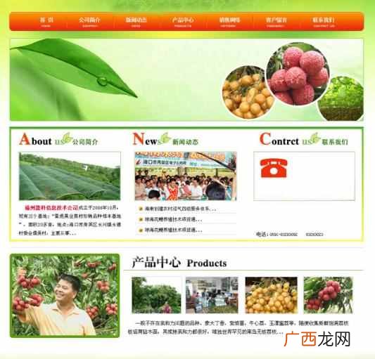 门户网站的建设与优势(如何建设一个符合时代