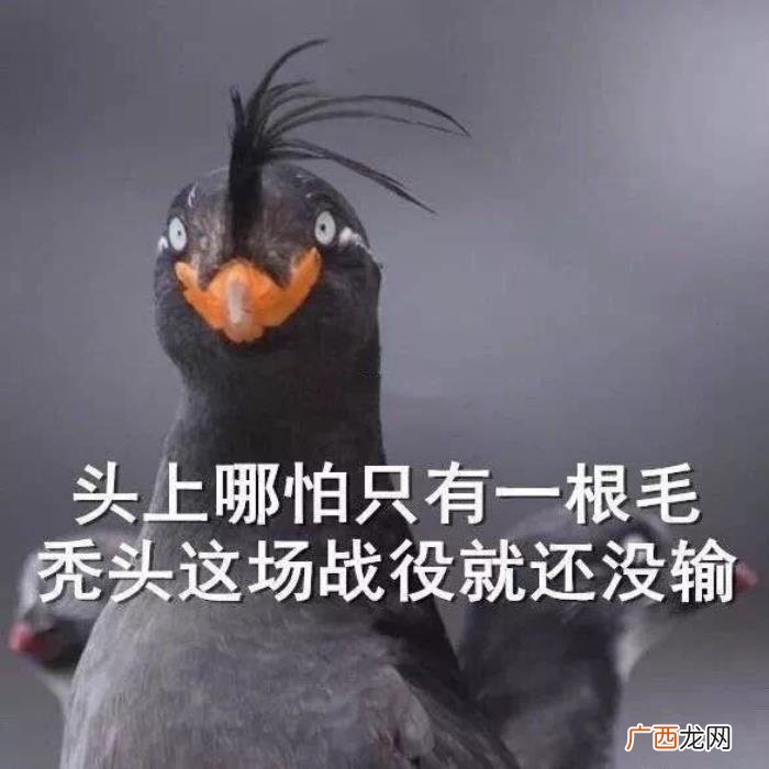 那些沙雕又可爱的自动回复 搞笑的自动回复
