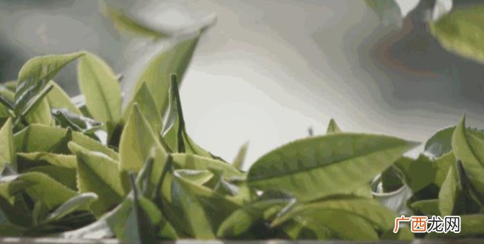 喜欢喝茶的人都有这样一个共性 爱茶的女人都有一个共同点