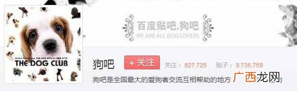 百度为什么叫度娘不叫度爷度爸(百度申请“度