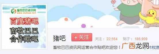 百度为什么叫度娘不叫度爷度爸(百度申请“度